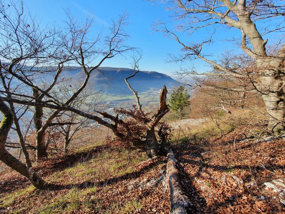 Quiet Business Flat Or Vacation Home In Bad Urach Zewnętrze zdjęcie