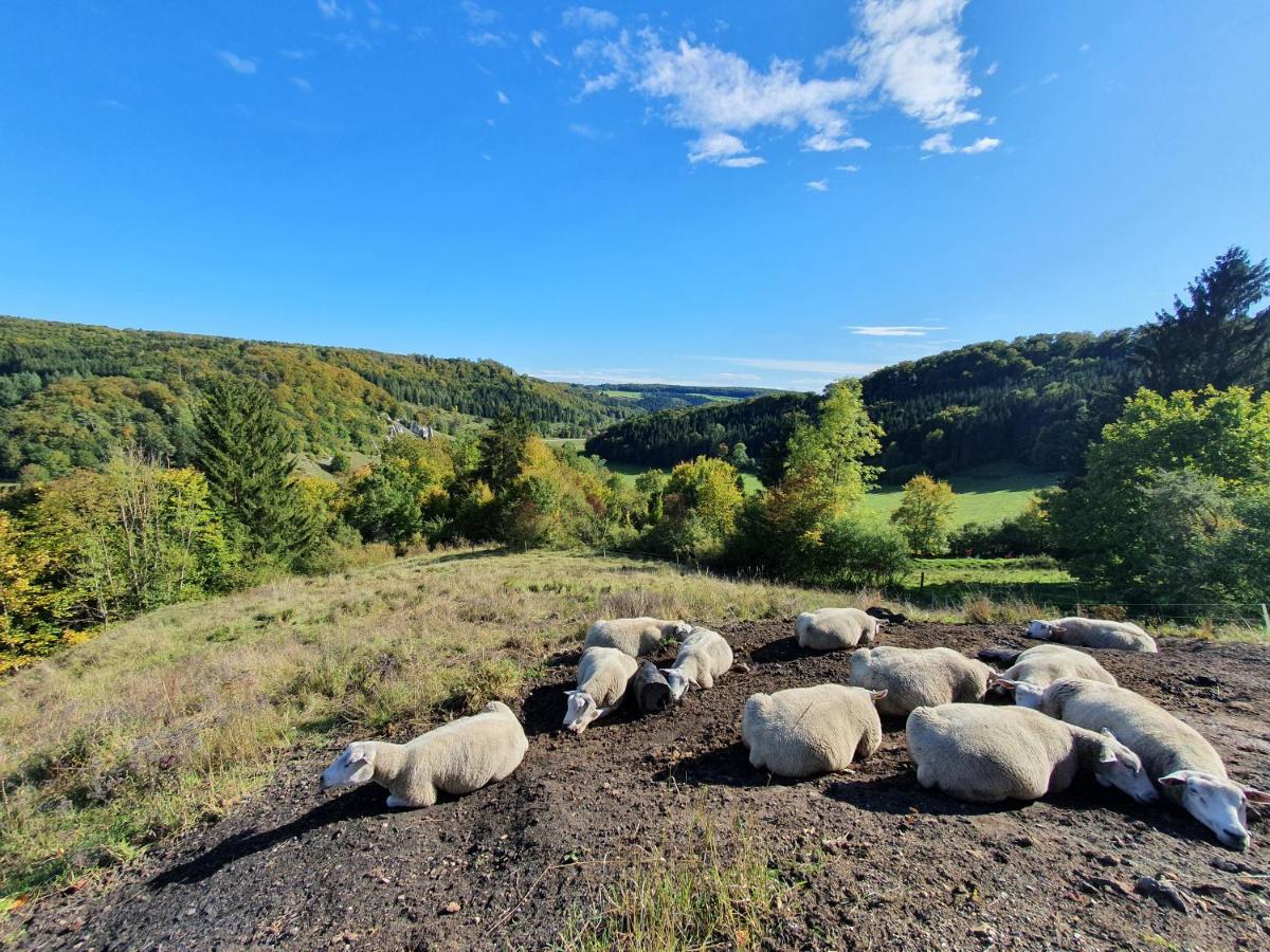 Quiet Business Flat Or Vacation Home In Bad Urach Zewnętrze zdjęcie